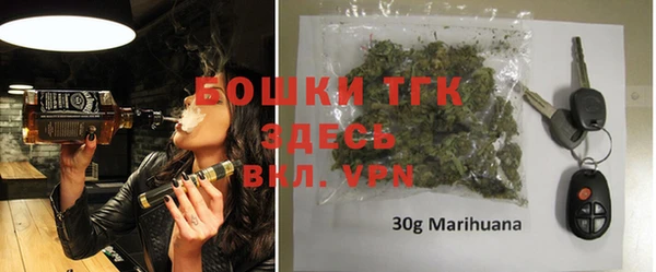 шишки Лабытнанги