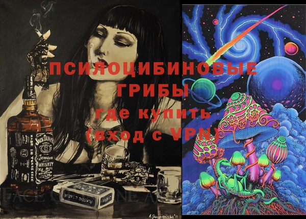 шишки Лабытнанги