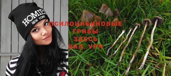 шишки Лабытнанги