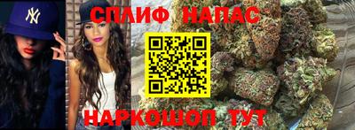 ешки Тара
