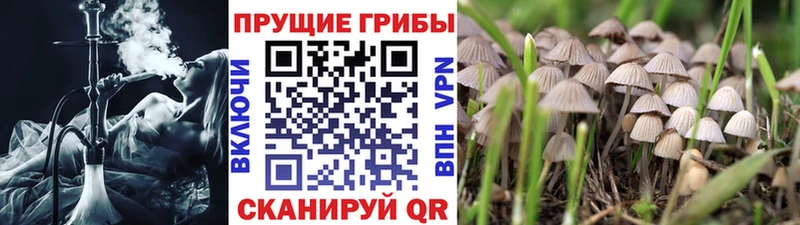 Галлюциногенные грибы мухоморы  Мелеуз 