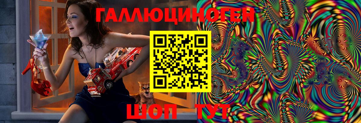 Псилоцибиновые грибы Psilocybe Мелеуз