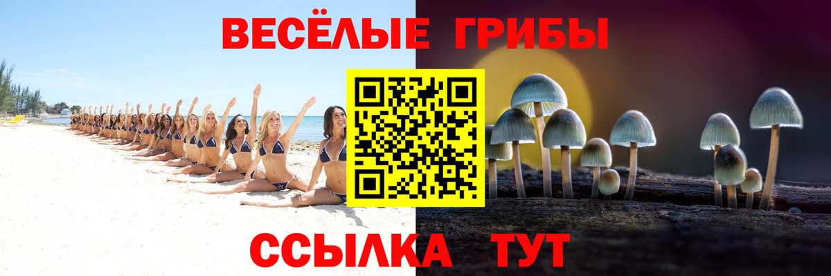 Псилоцибиновые грибы Psilocybe  магазин продажи наркотиков  Мелеуз  Вход с VPN 